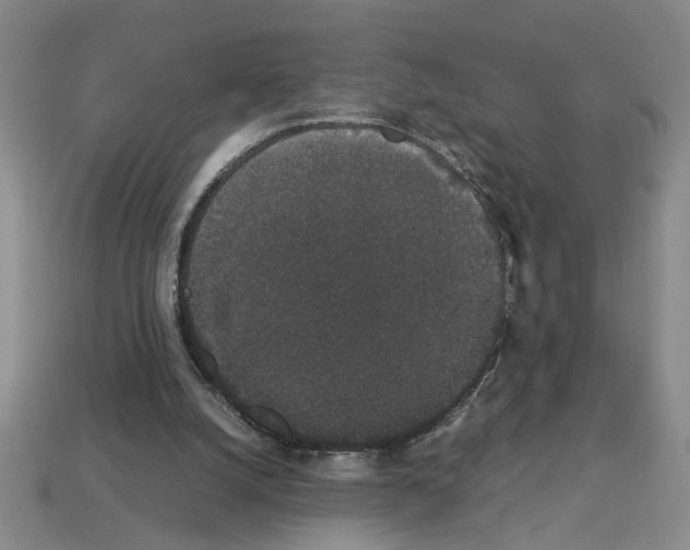 X0000112850056200910021300