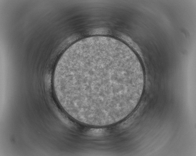 X0000112850057200910021300