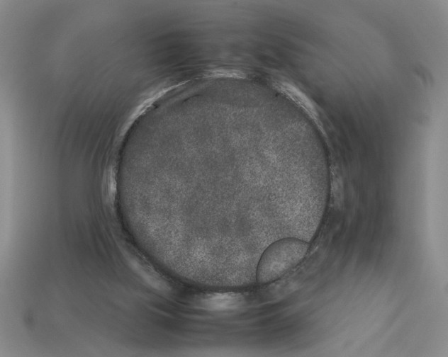 X0000112850059200910021300