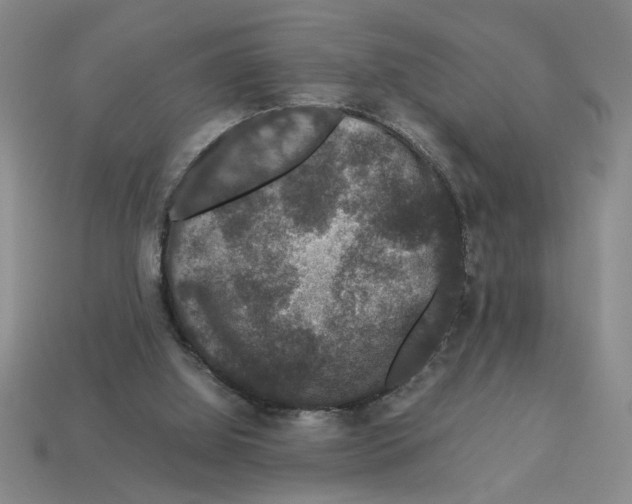 X0000112850060200910021300