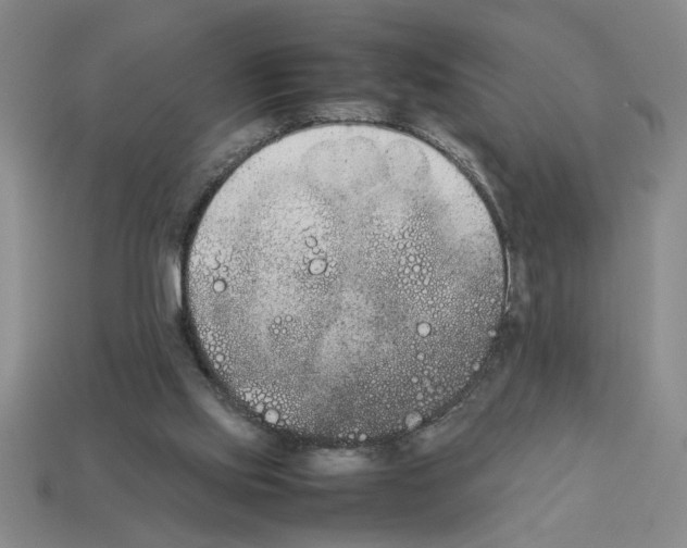 X0000112850061200910021300