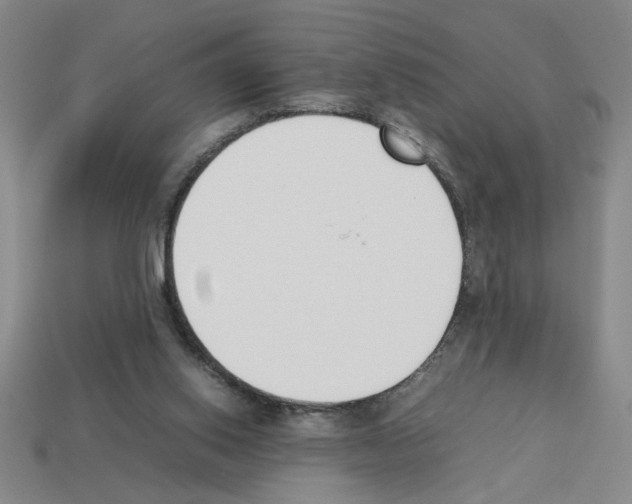 X0000112850062200910021300