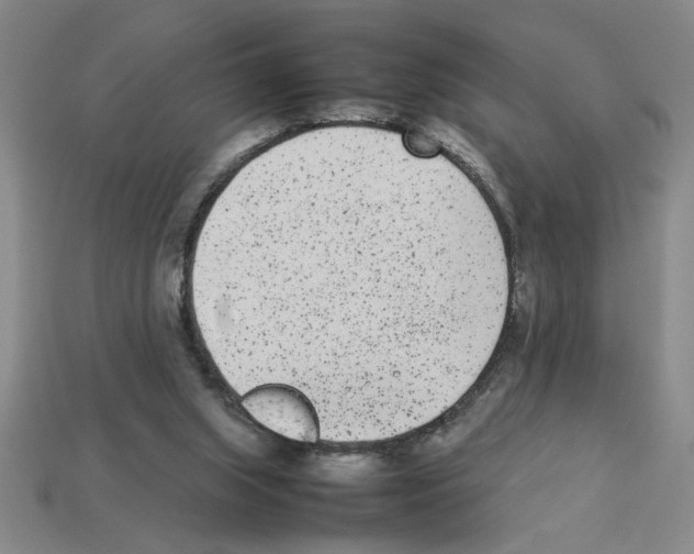 X0000112850063200910021300