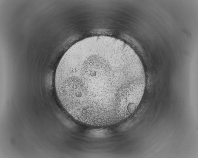 X0000112850065200910021300