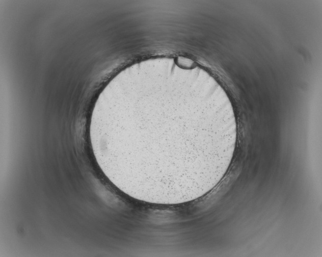 X0000112850066200910021300