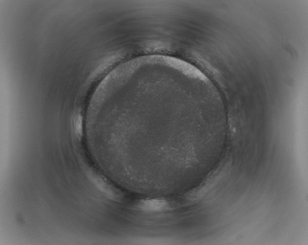 X0000112850067200910021300