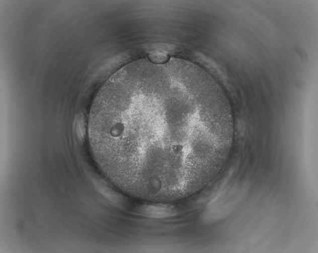 X0000112850069200910021300