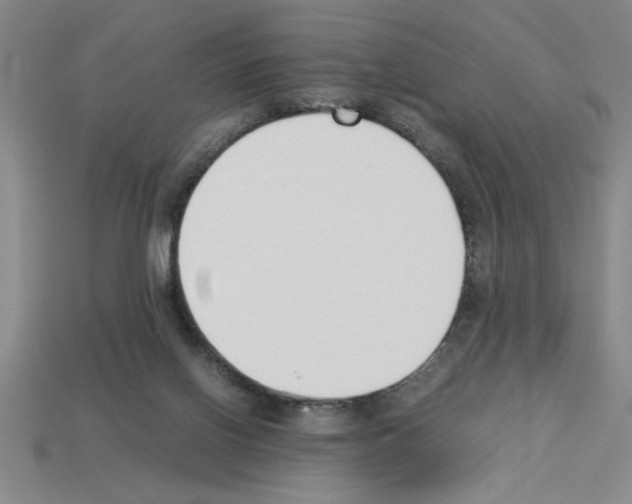 X0000112850070200910021300