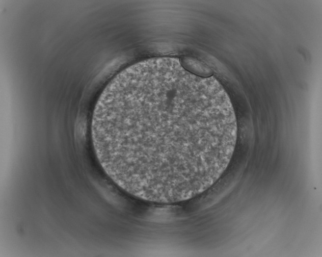 X0000112850072200910021300