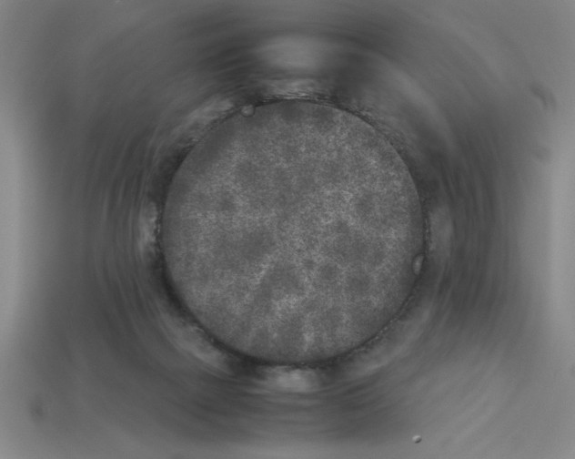 X0000112850073200910021300