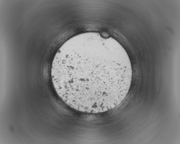 X0000112850074200910021300