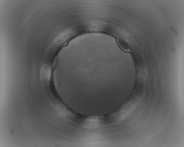 X0000112850076200910021300