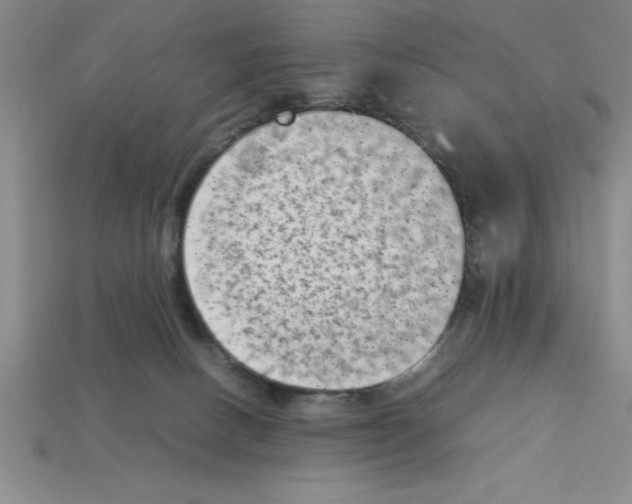 X0000112850082200910021300