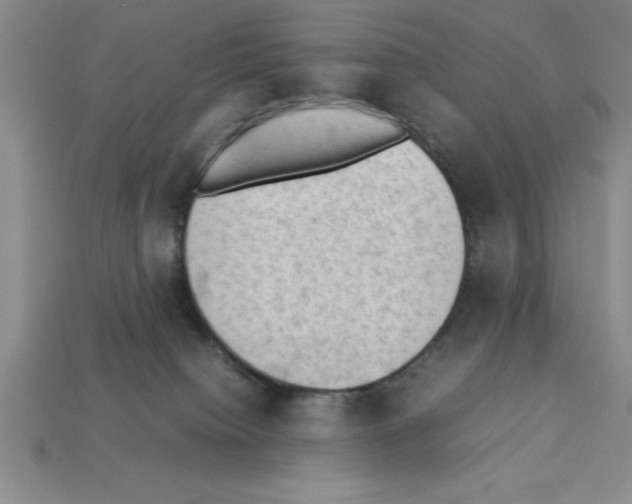 X0000112850084200910021300