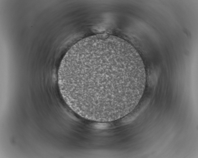 X0000112850085200910021300