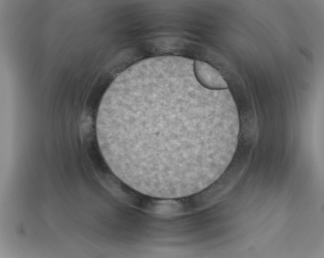 X0000112850087200910021300