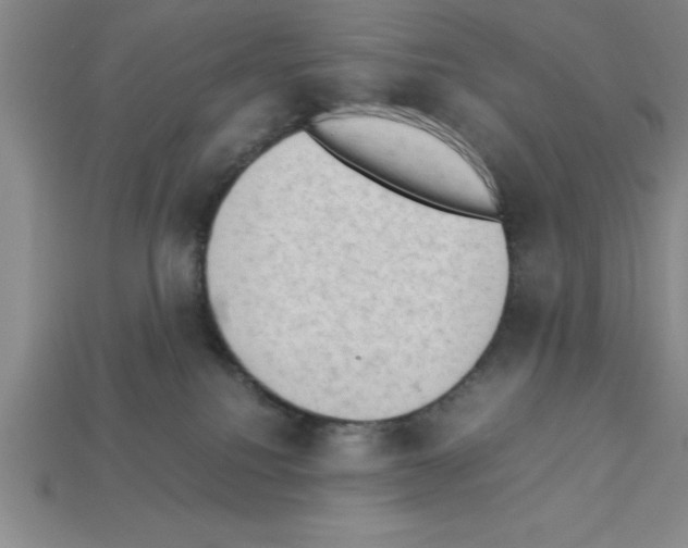 X0000112850088200910021300