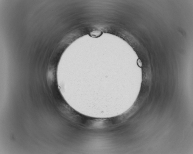 X0000112850090200910021300