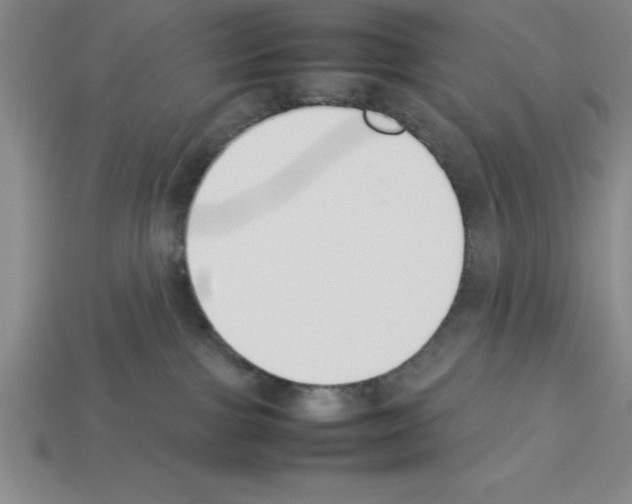 X0000112850091200910021300