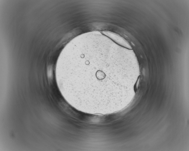 X0000112850094200910021300