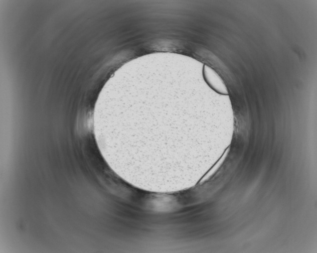 X0000112850095200910021300