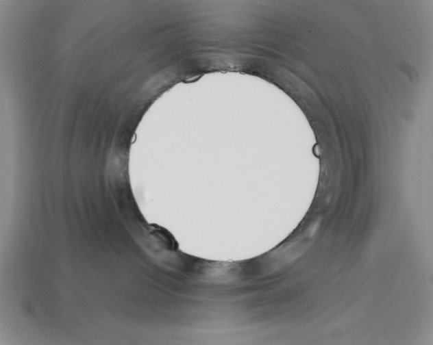 X0000112850096200910021300