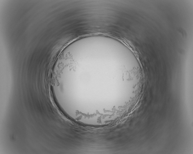 X0000112850097200910021259