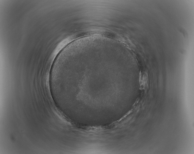 X0000112850099200910021259