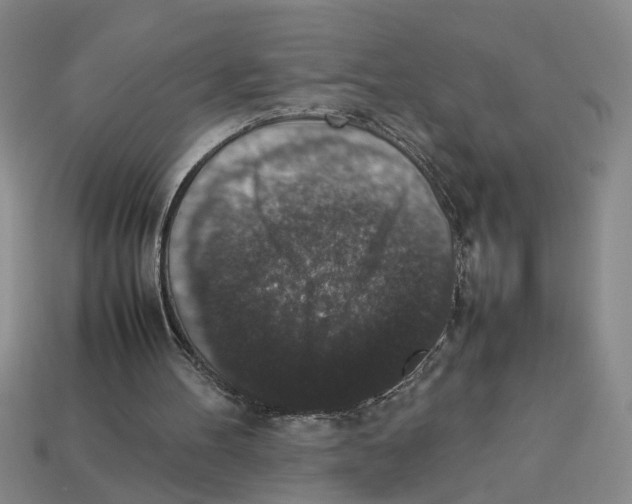 X0000112850100200910021259