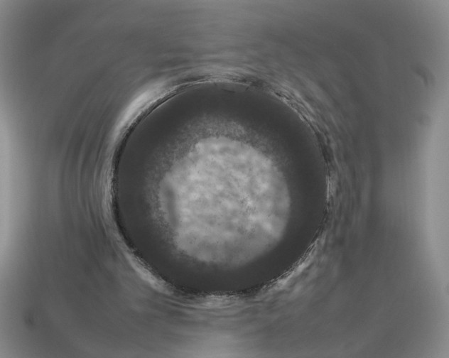 X0000112850101200910021259