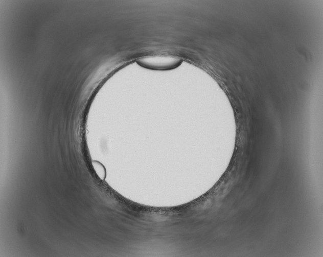 X0000112850103200910021259