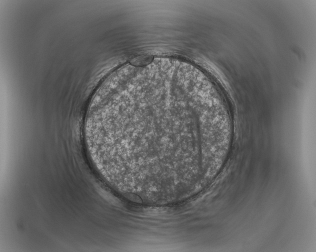 X0000112850105200910021259