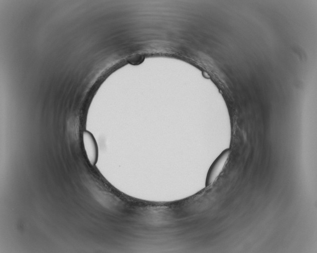 X0000112850108200910021259