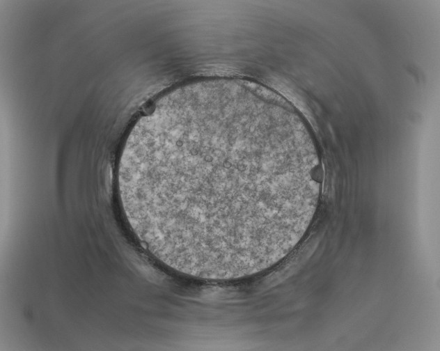 X0000112850109200910021259