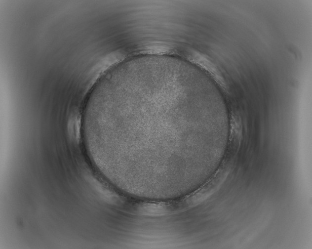 X0000112850110200910021259