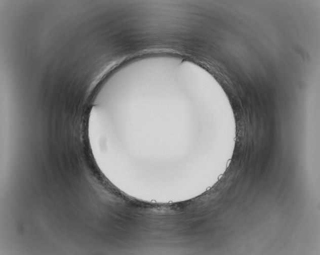 X0000112850112200910021259