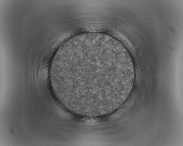 X0000112850113200910021259