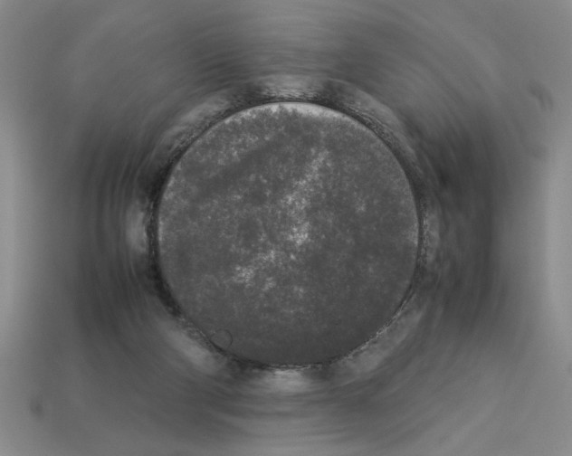 X0000112850114200910021259