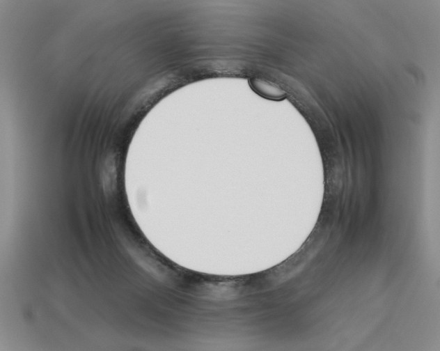 X0000112850120200910021259