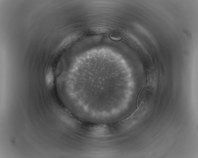 X0000112850124200910021259