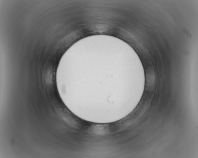 X0000112850126200910021259