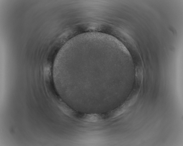 X0000112850127200910021259