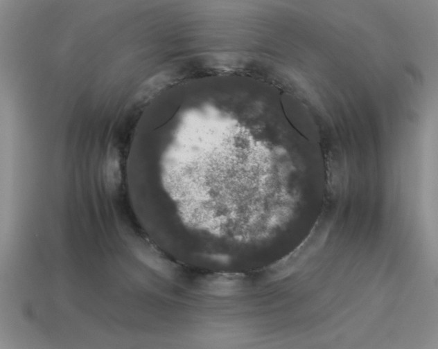 X0000112850128200910021259