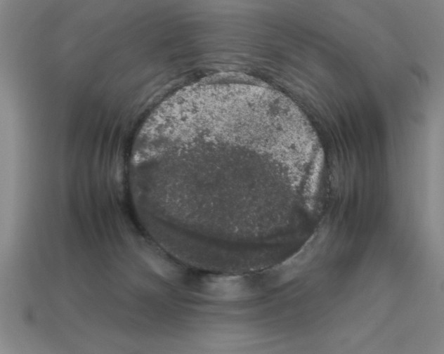 X0000112850132200910021259