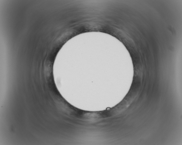 X0000112850133200910021259