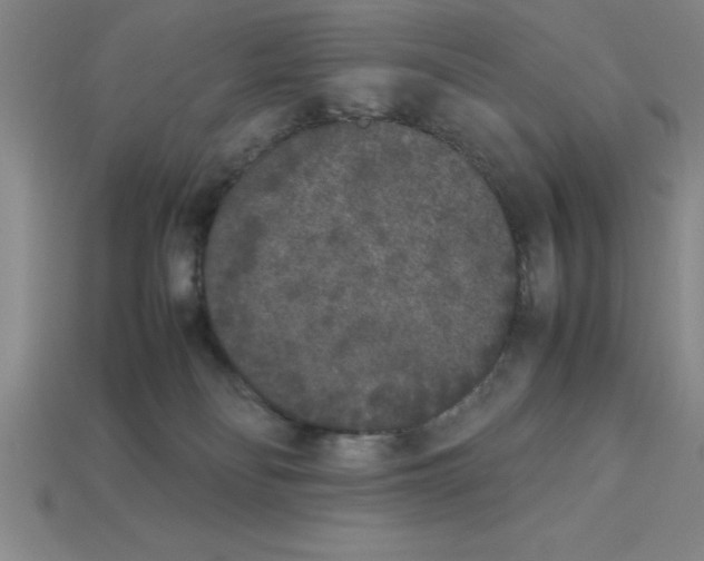 X0000112850134200910021259