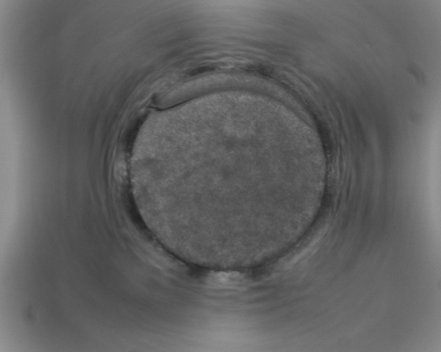 X0000112850137200910021259