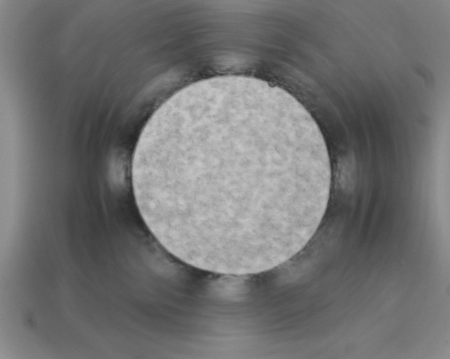 X0000112850138200910021259