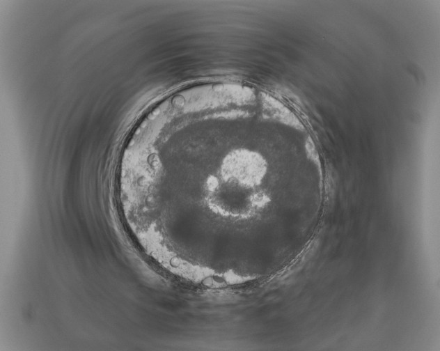 X0000112850145200910021258