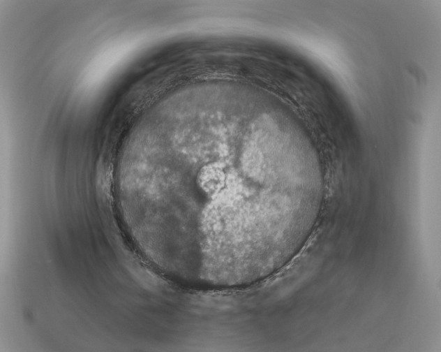 X0000112850146200910021258